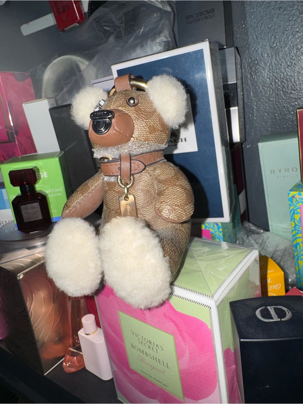 Coach bear RARE!!!! - Picture 14 of 16